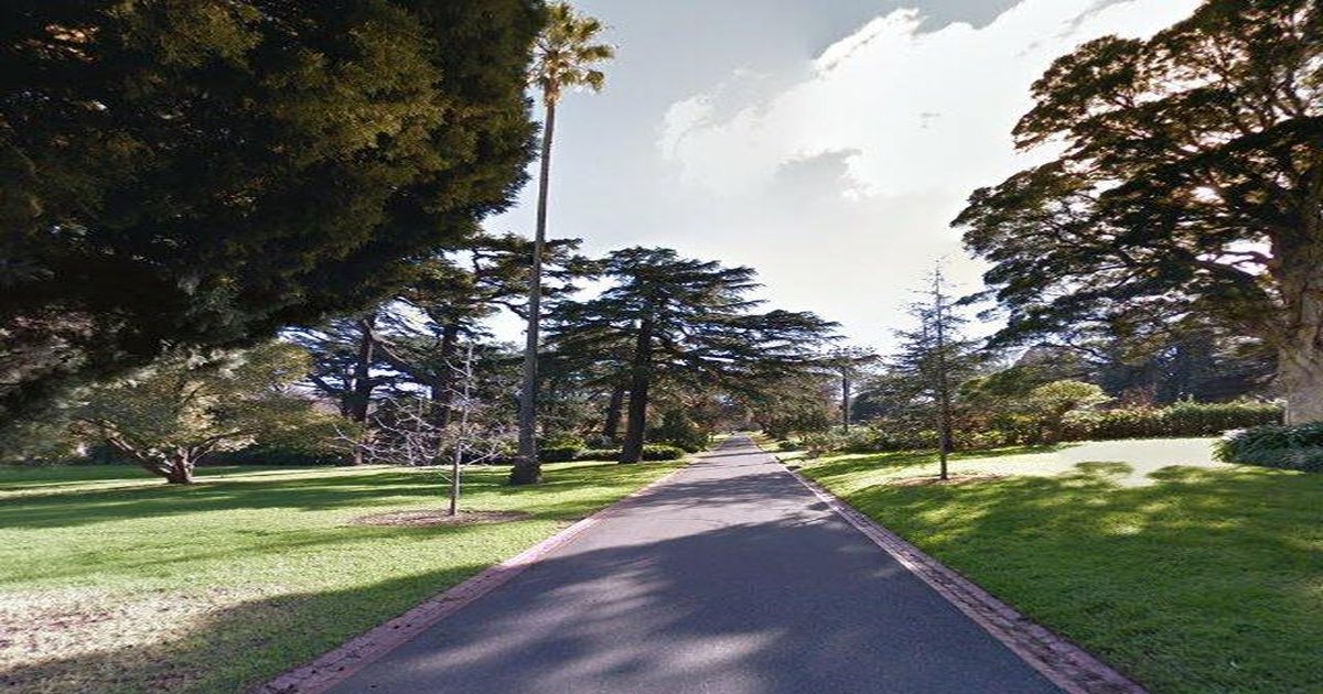 Best Bakeries in East Melbourne