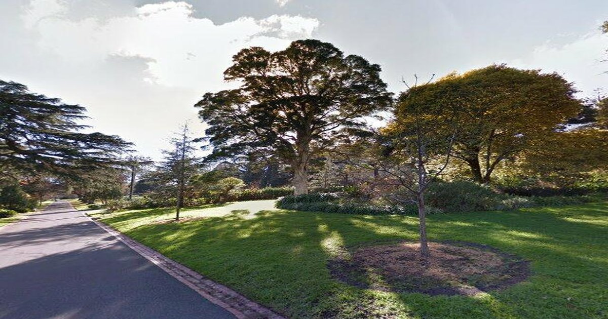 Best Breakfast in East Melbourne