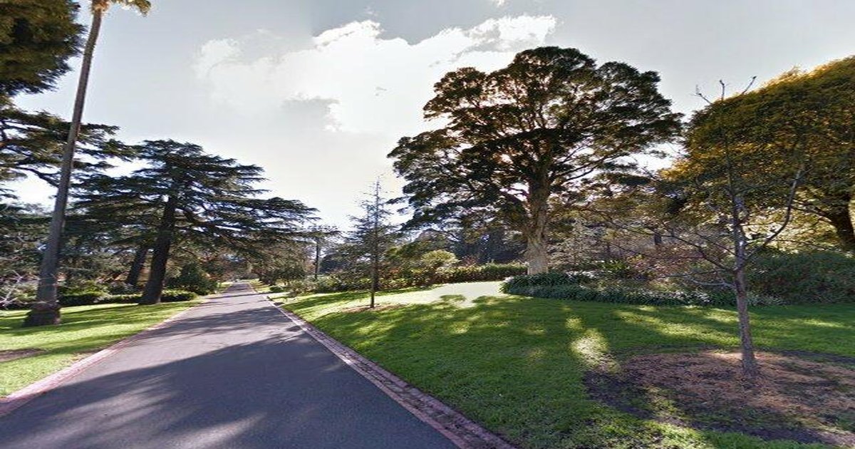 Best Italian Restaurants in East Melbourne