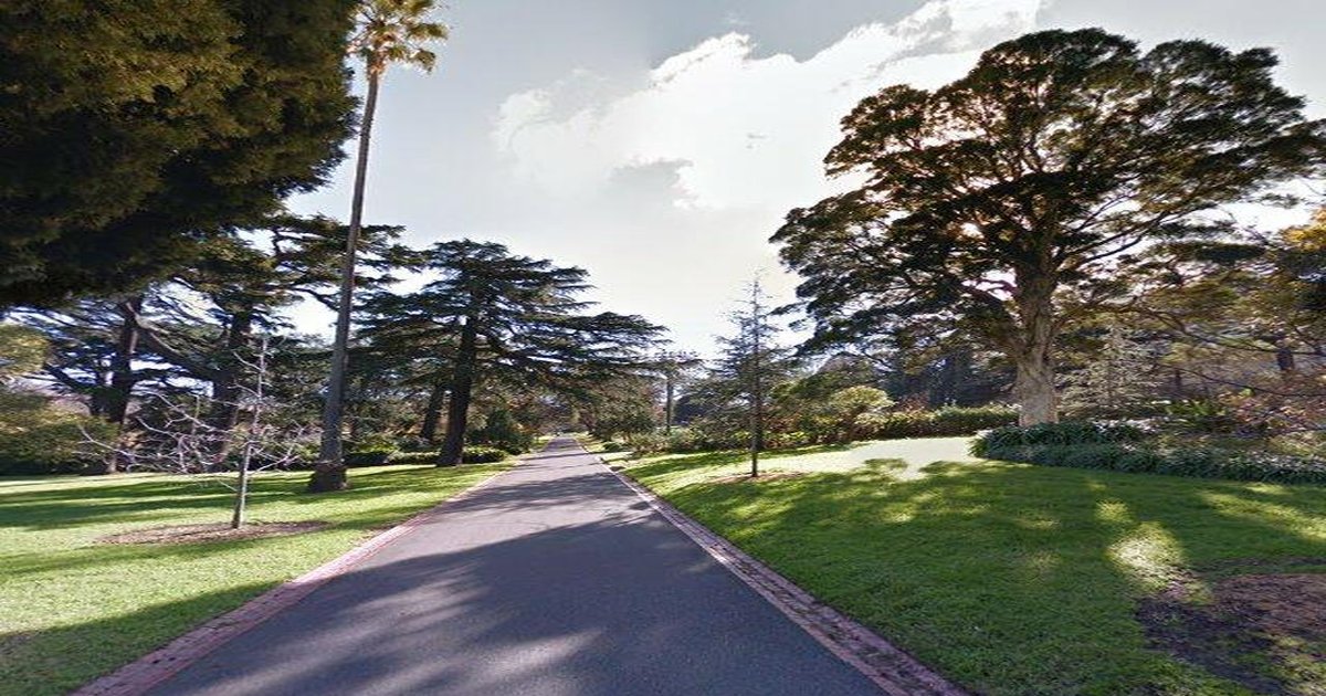 Best Wine Bars in East Melbourne