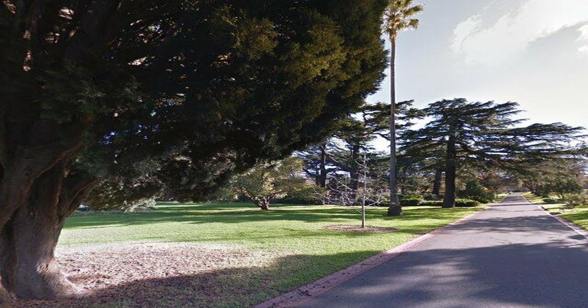 East Melbourne Council Services Guide