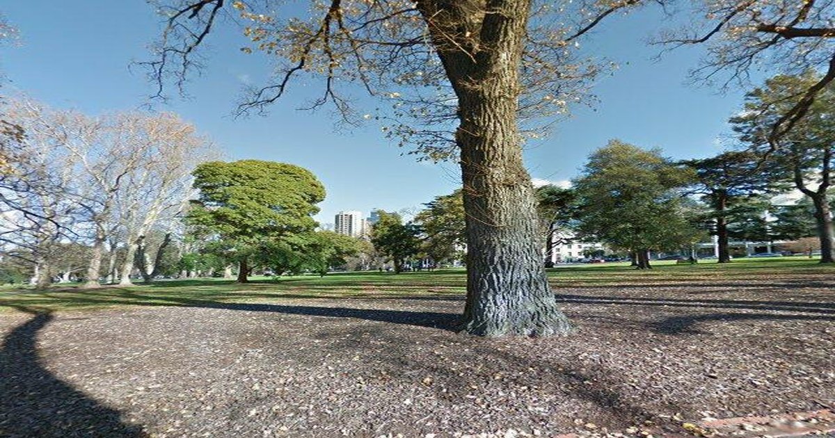 East Melbourne for Families — Complete Guide