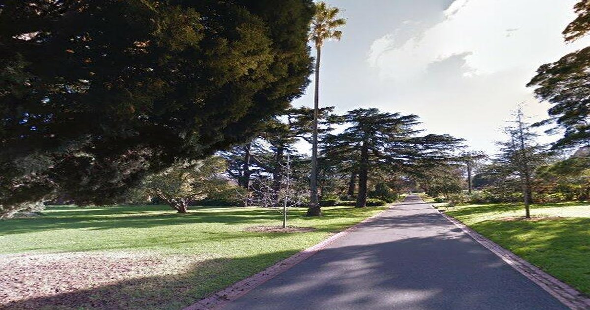 Libraries Near East Melbourne