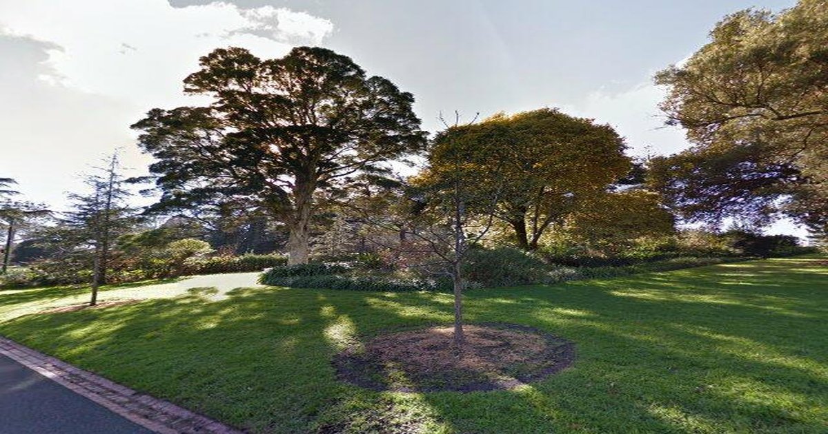 Moving to East Melbourne — Relocation Guide 2026