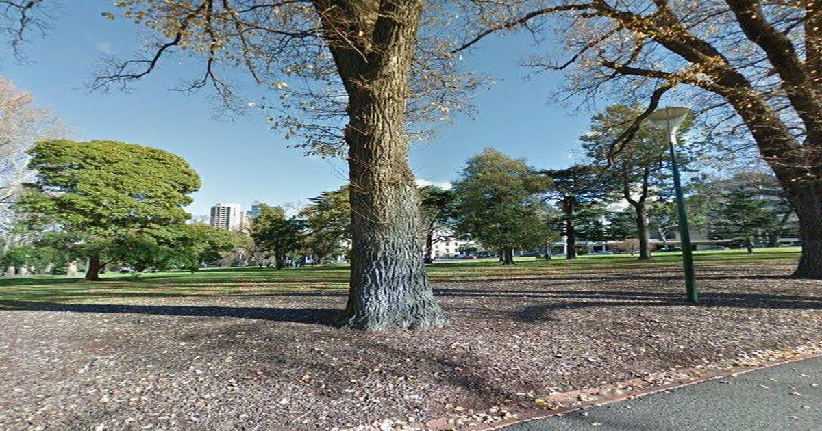 Best Playgrounds in East Melbourne