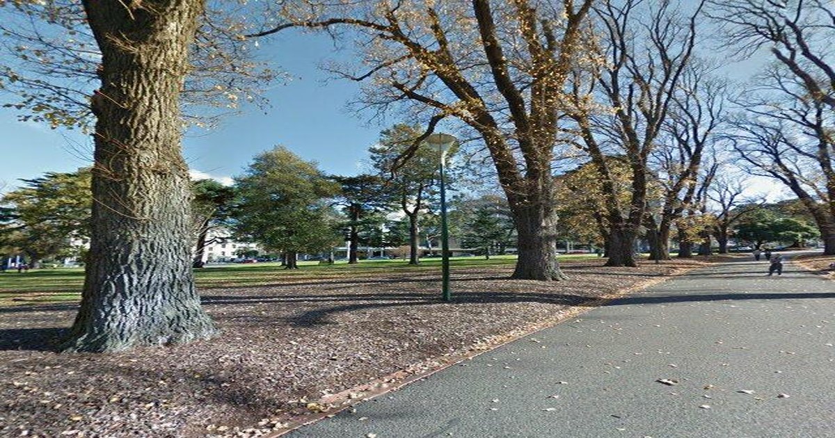 Sports Clubs in East Melbourne