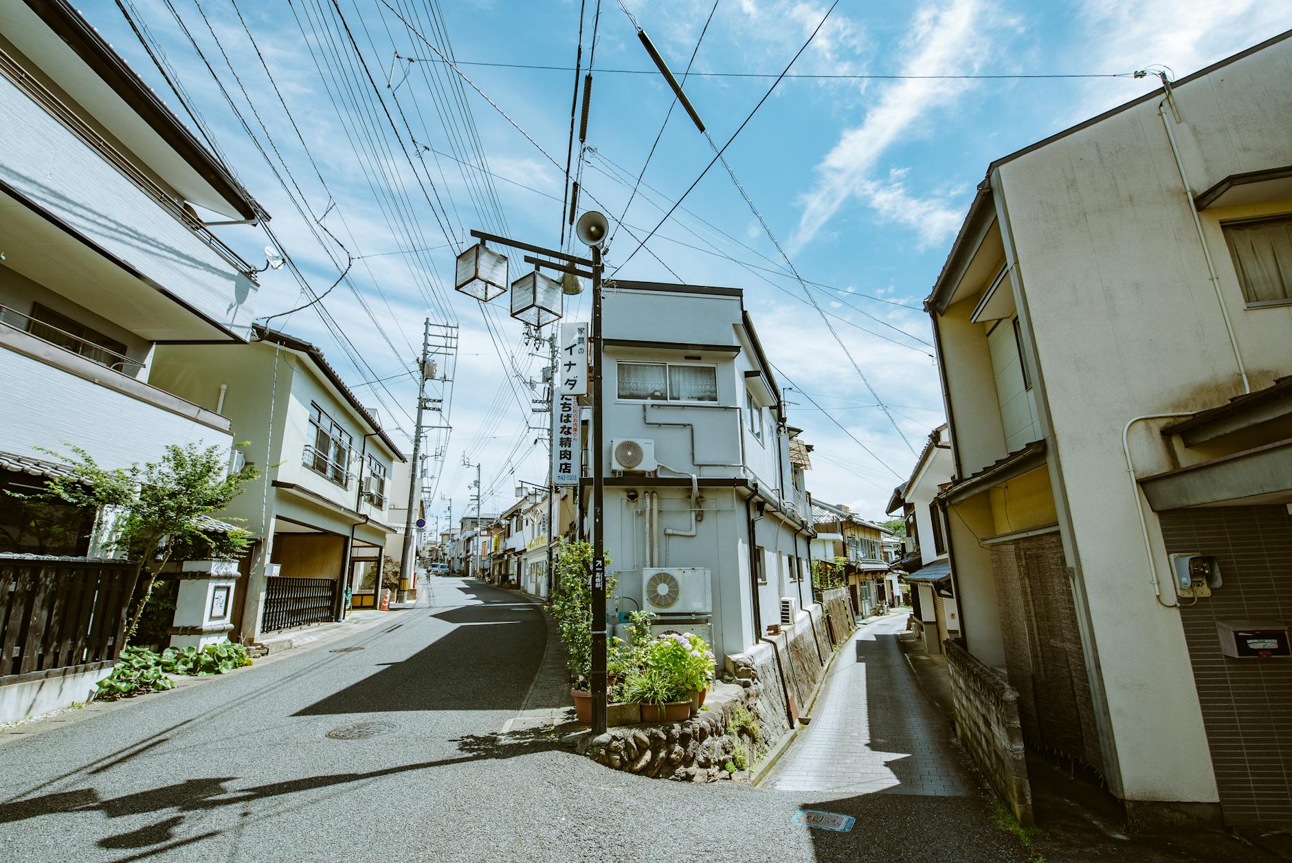 Elsternwick Neighbourhood Guide — Streets and Pockets