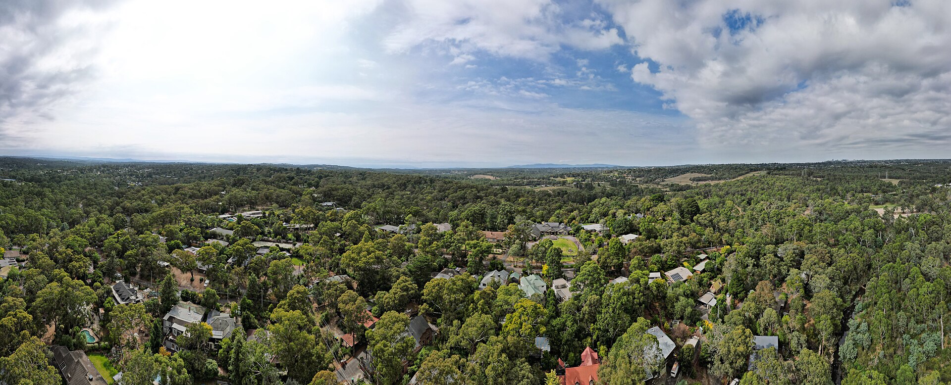 Best Korean Near Eltham 2026: The Spots Worth Your Hunger