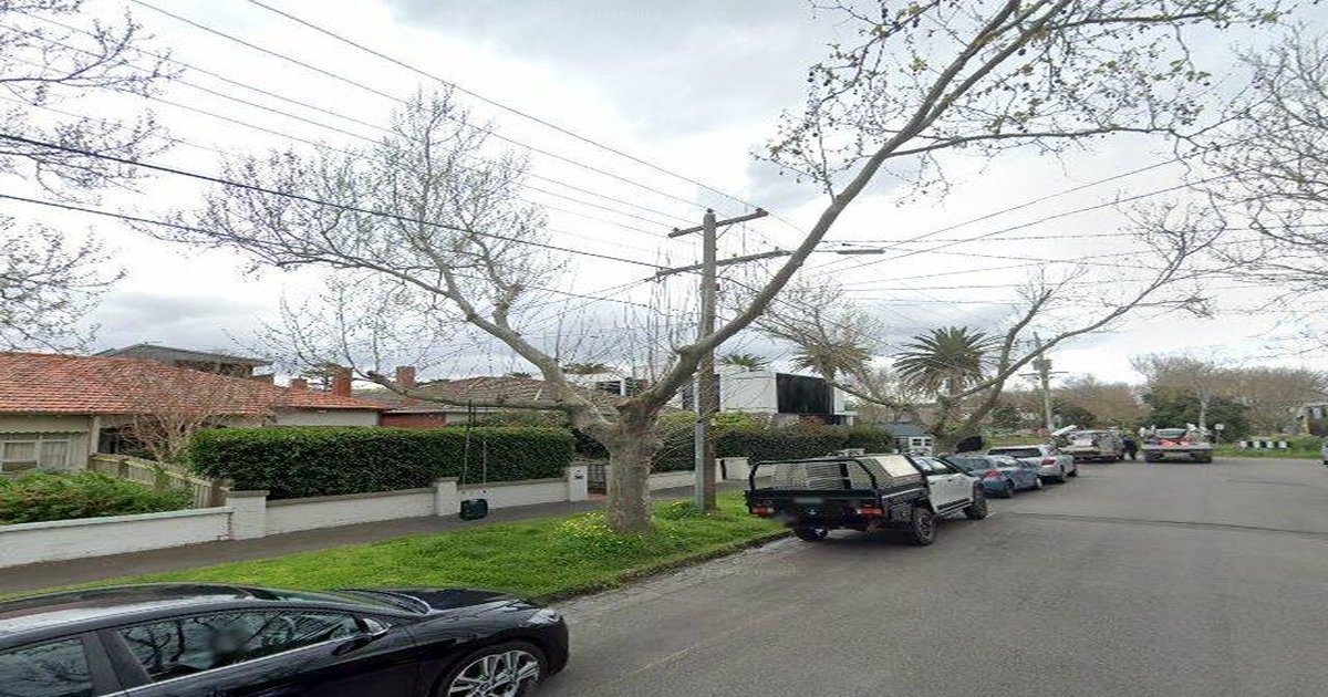 Best Pizza in Elwood