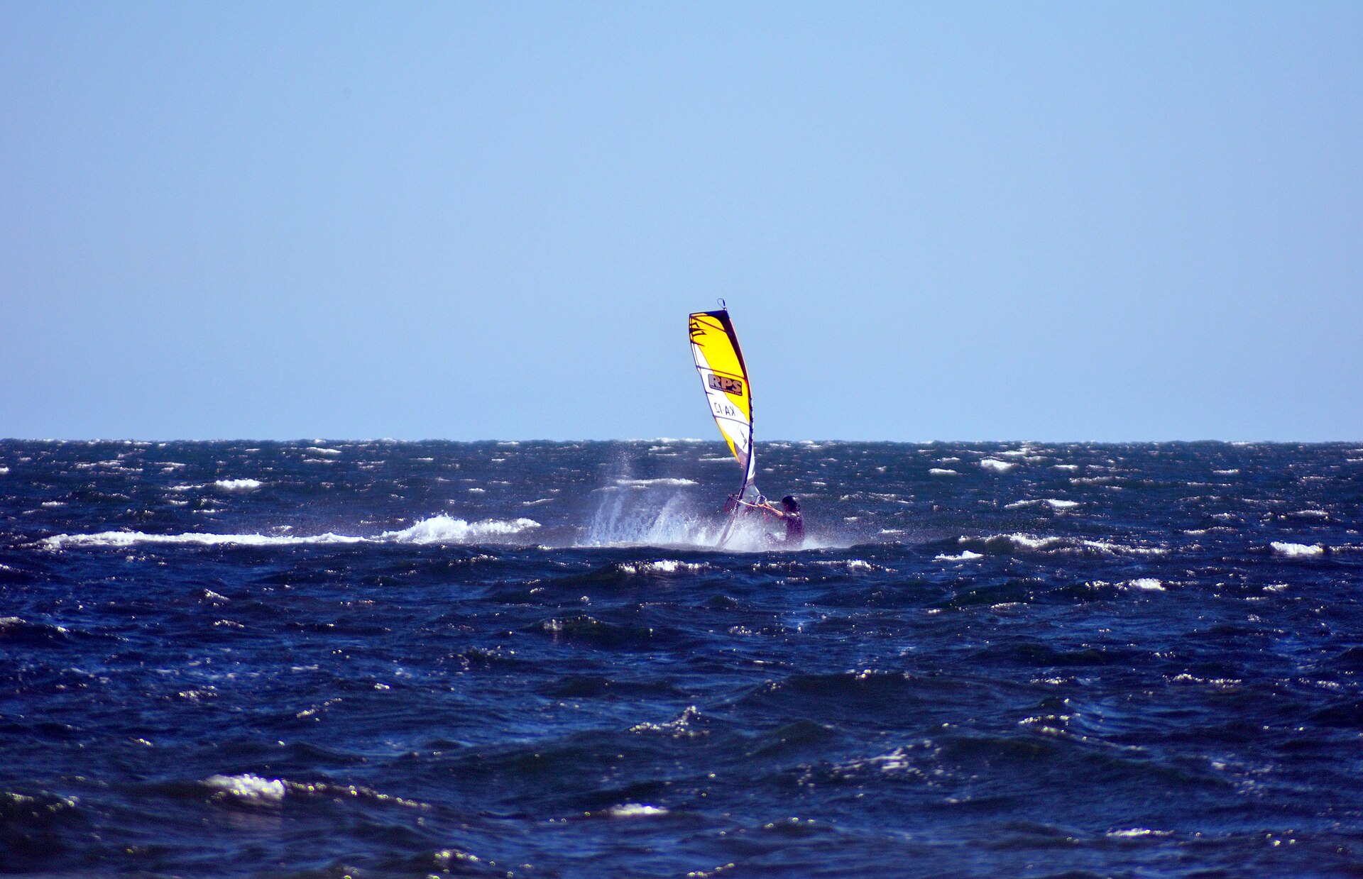 Elwood FAQ — Your Questions Answered (2026)