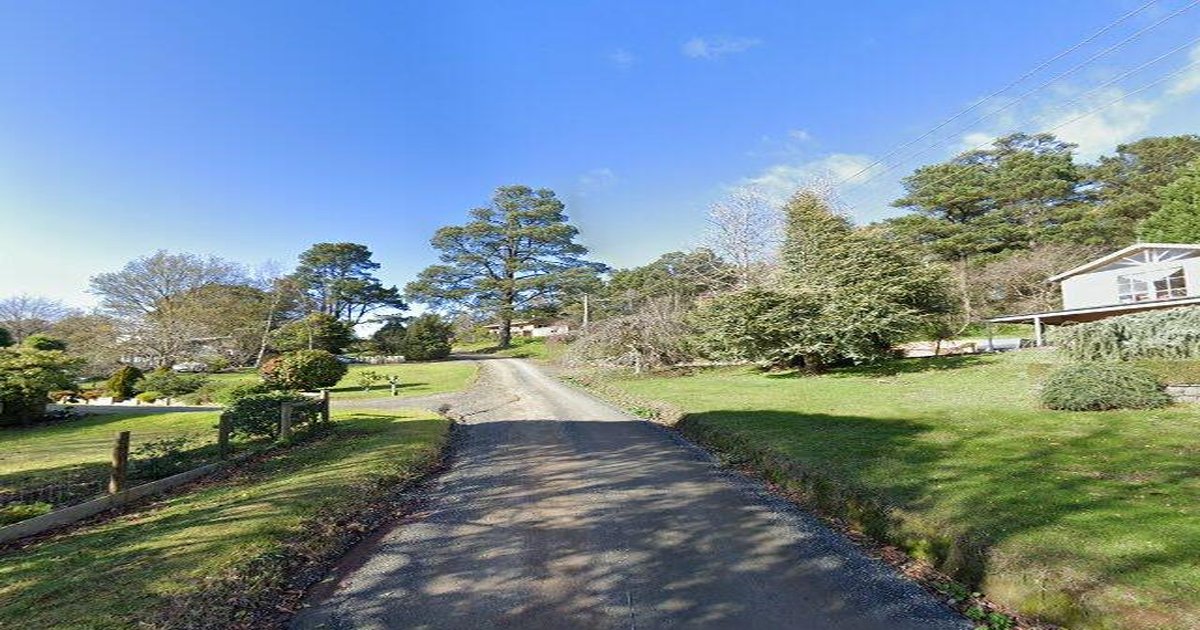 Best Pizza in Emerald