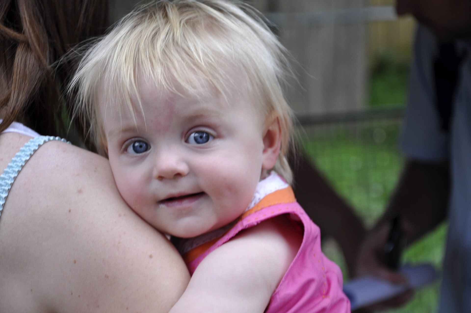 Your Guide to Emerald (2026) -- Transport, Parks and Local Character