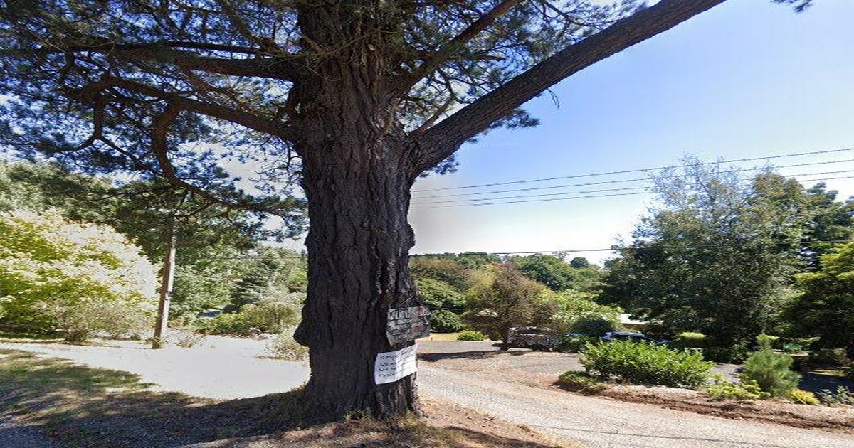 Emerald as an Investment