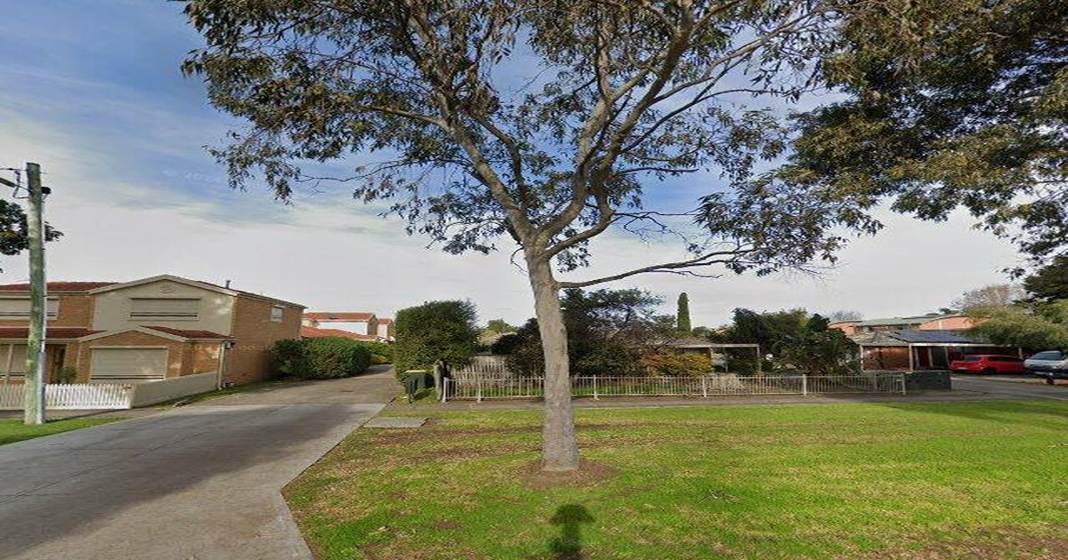 Best Takeaway in Epping