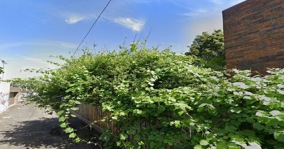 Fitzroy North FAQ — Your Questions Answered (2026)