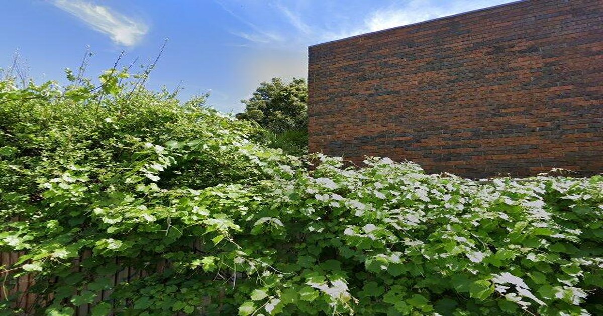 First Home Buyer Guide for Fitzroy North