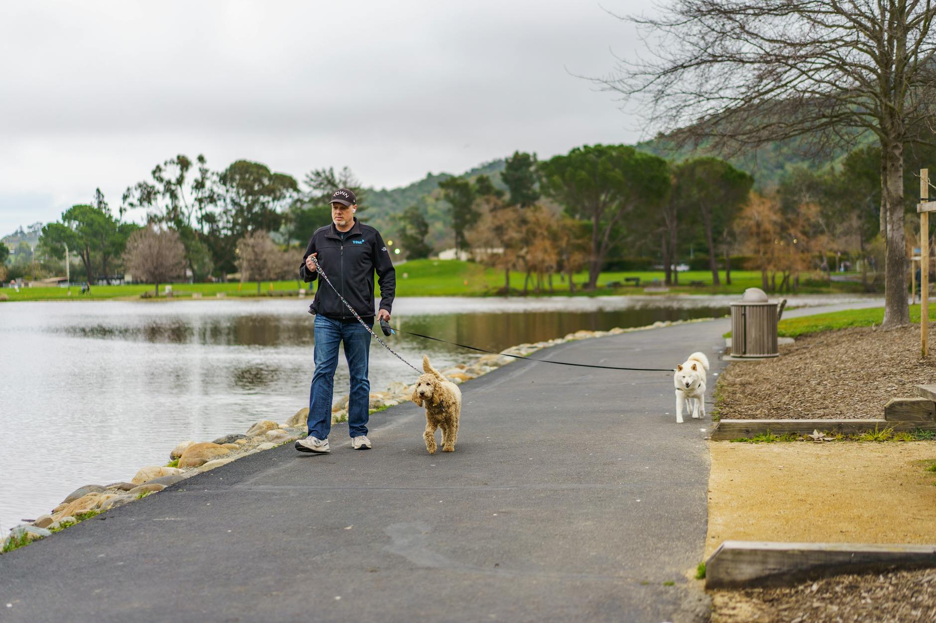 Fitzroy Melbourne dog park green space
