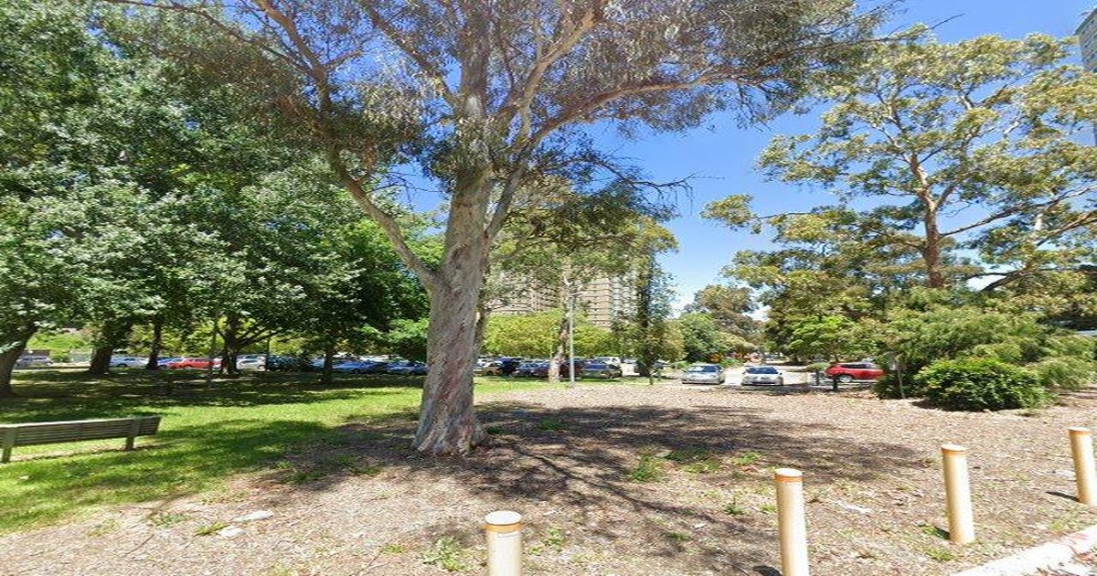 Best Japanese Restaurants in Flemington