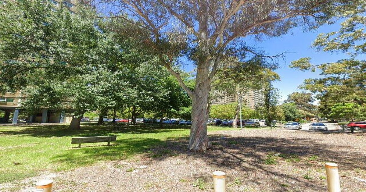 Best Pizza in Flemington