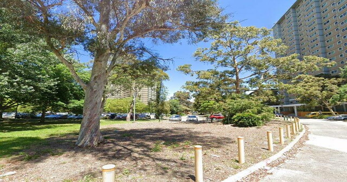 Best Thai Food in Flemington