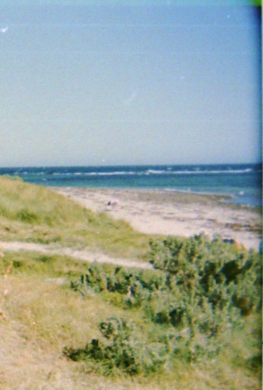 Things to Do in Flinders (2026) -- Suburb Guide