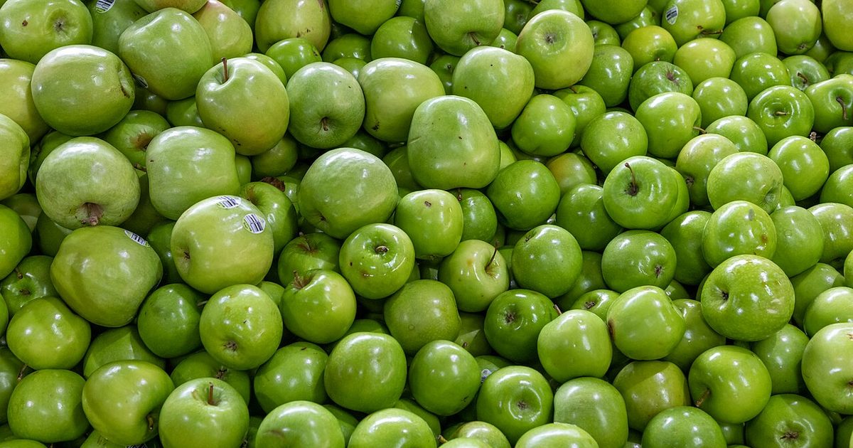 Best Pub Food in Melbourne 2026