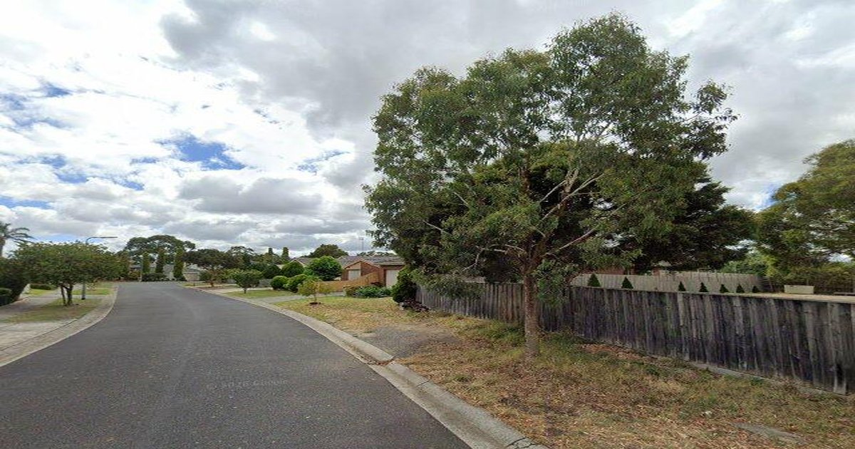 Forest Hill Community Guide