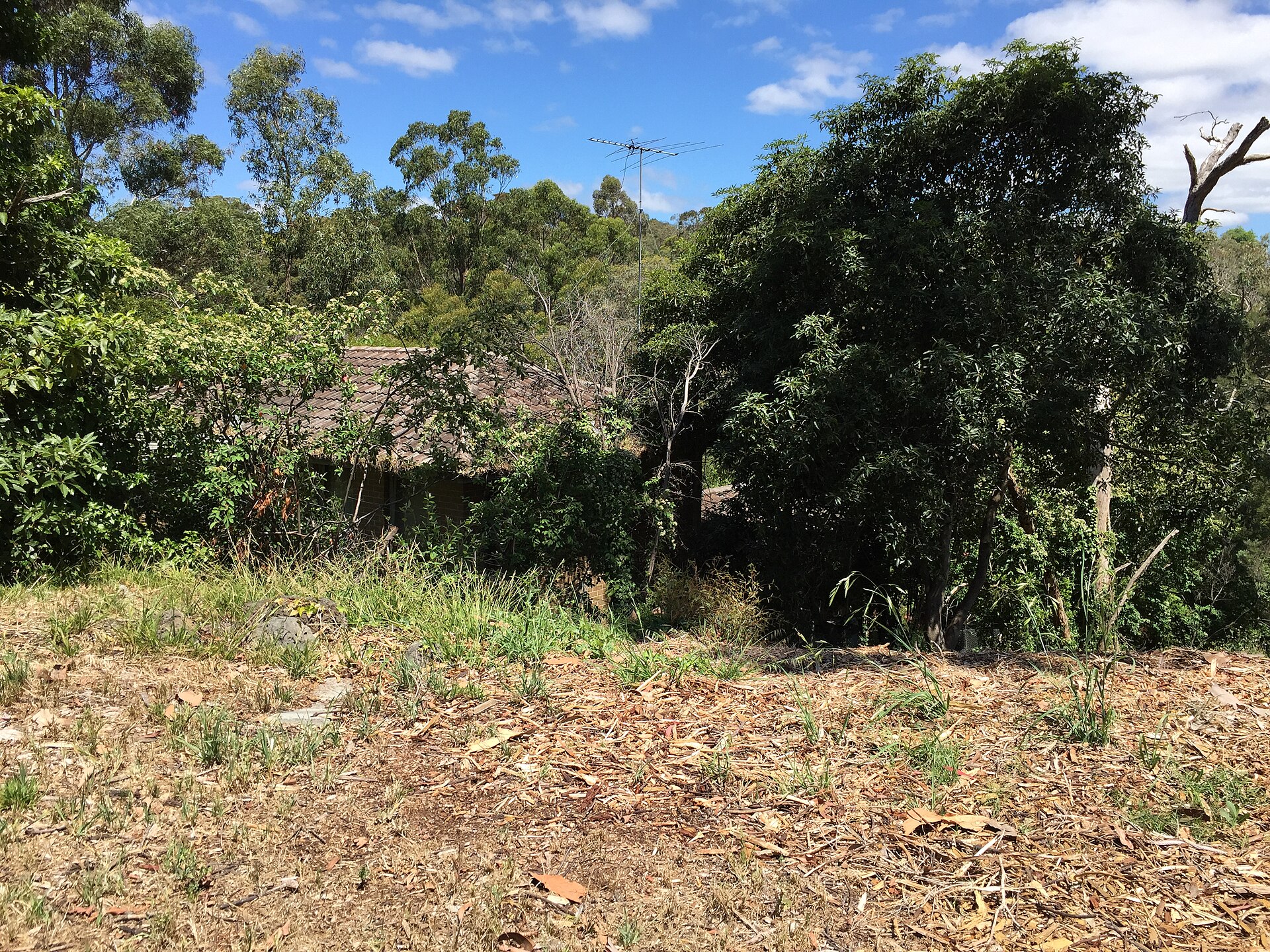 Your Guide to Frankston South (2026) -- Transport, Parks and Local Character