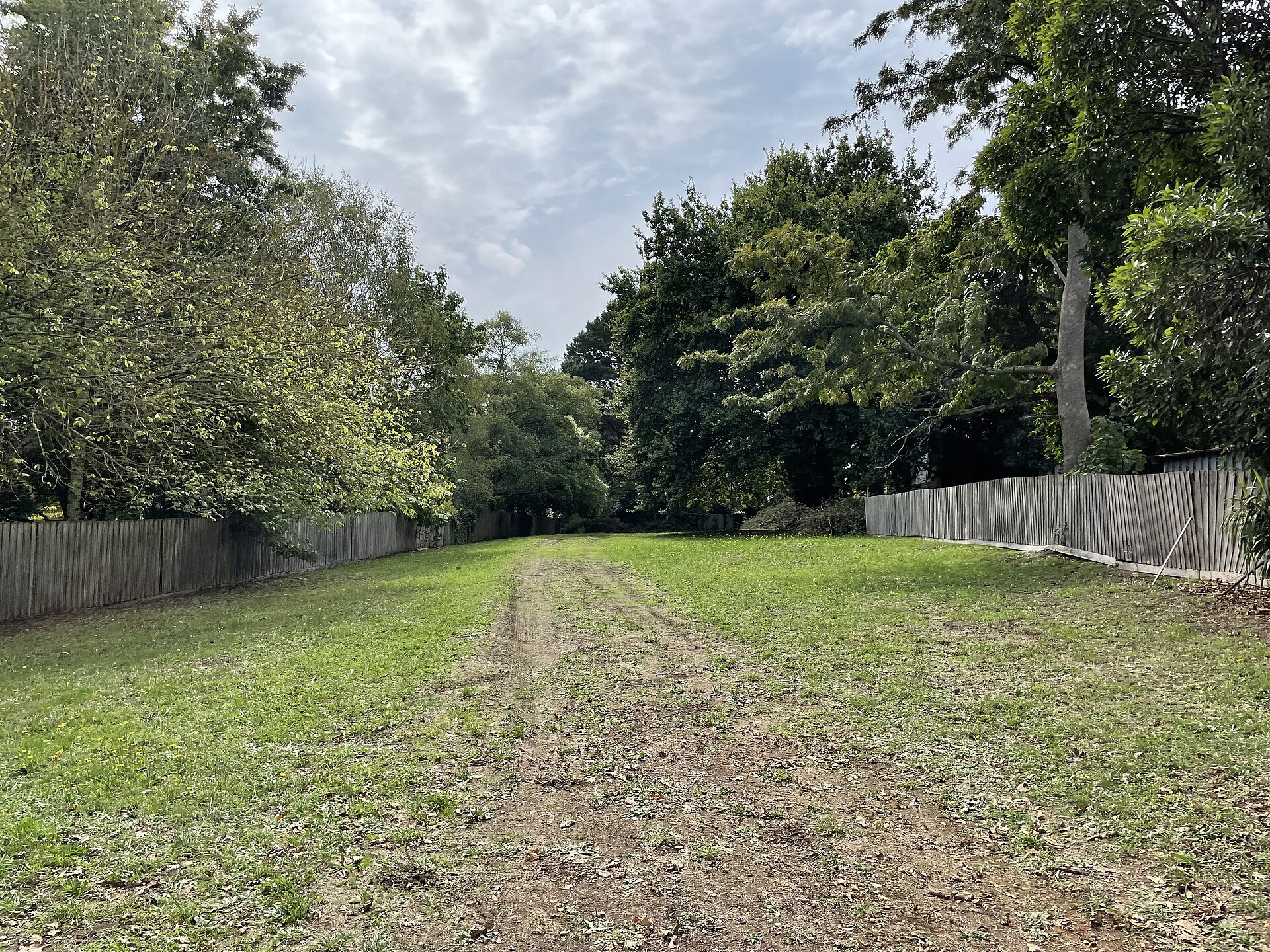 Exploring Gembrook: What to Know Before You Visit (2026)