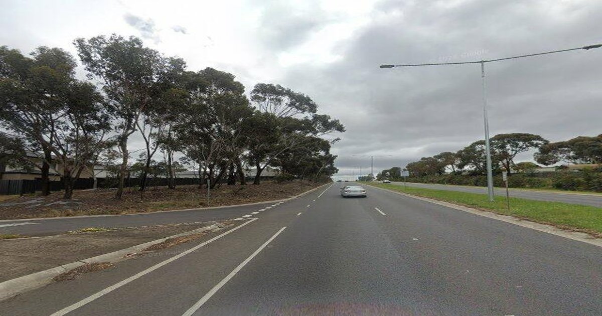 Best Wine Bars in Gladstone Park