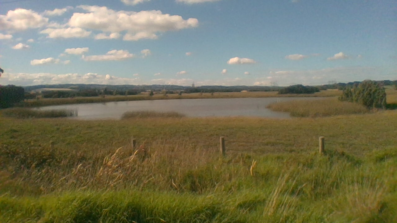 Hampton Park FAQ — Your Questions Answered (2026)