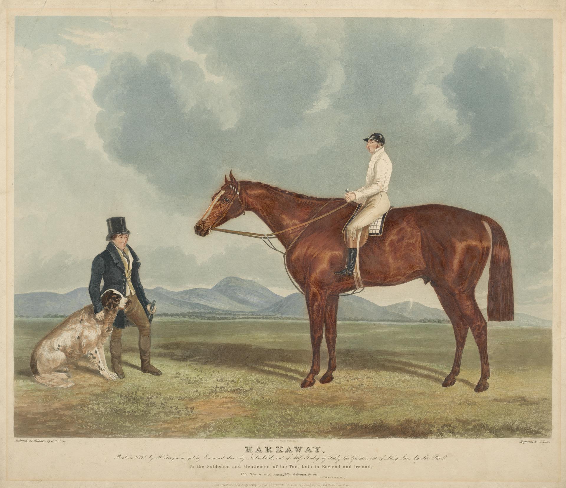 Exploring Harkaway: What to Know Before You Visit (2026)