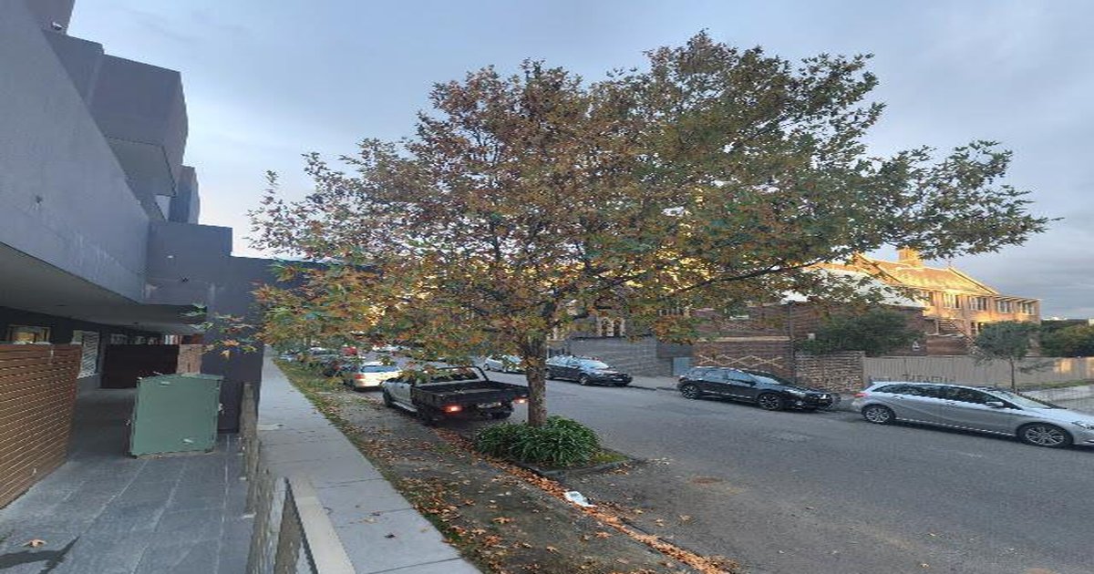 Best Breakfast in Hawthorn