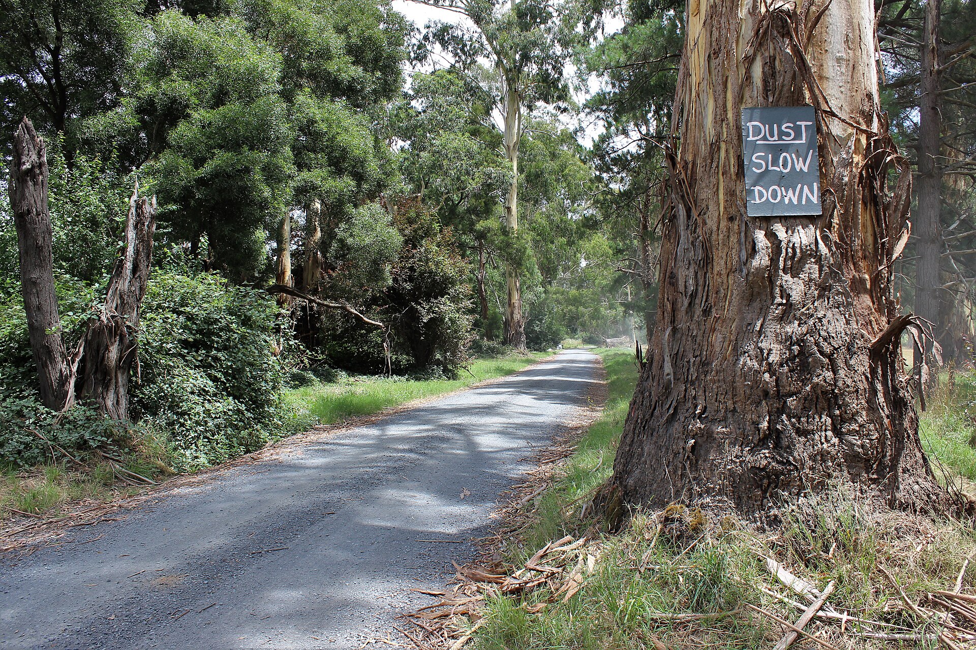 Healesville Area Guide -- Getting Around, Parks and More (2026)