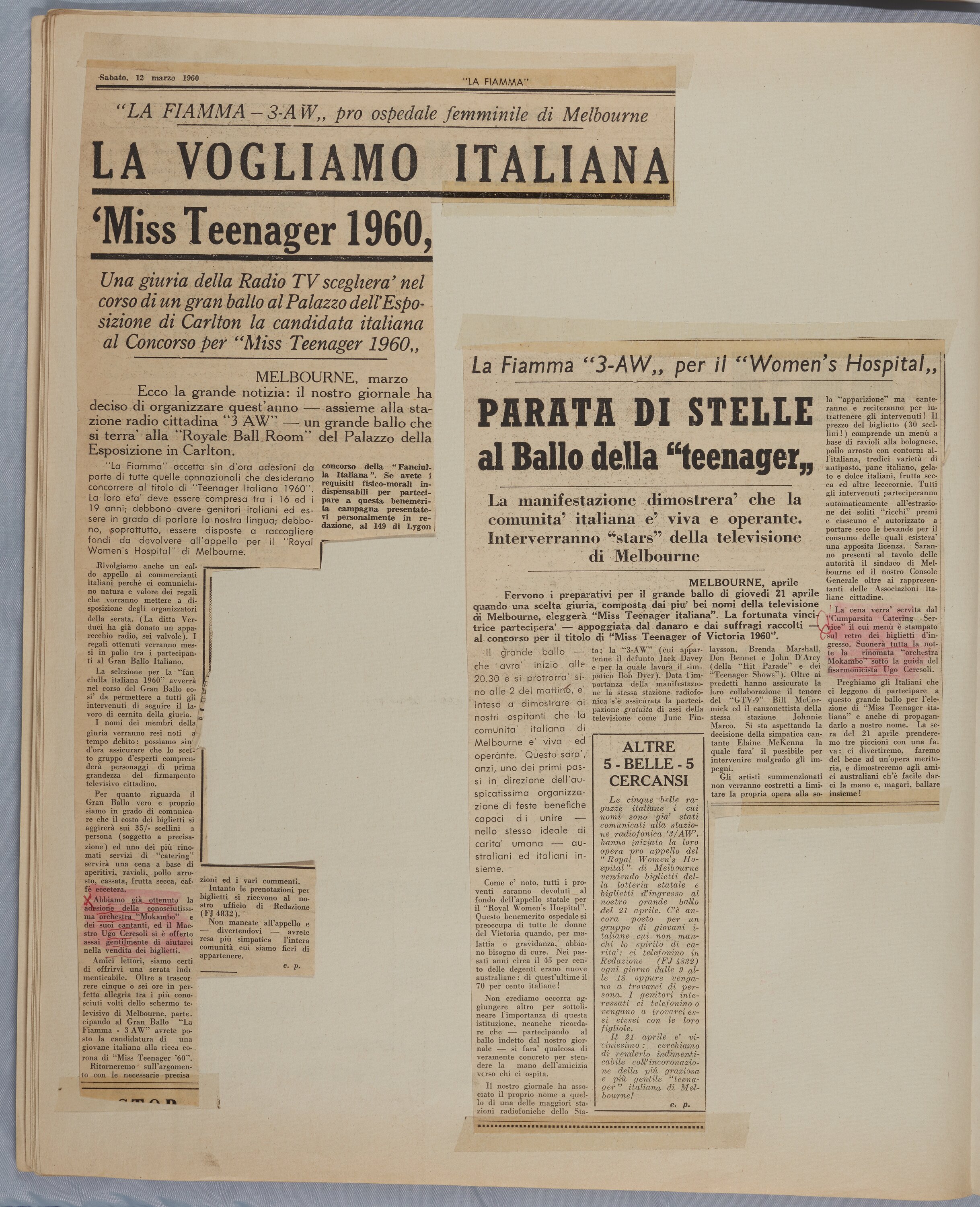 Is Family Worth It in 2026? The Complete Suburb Verdict