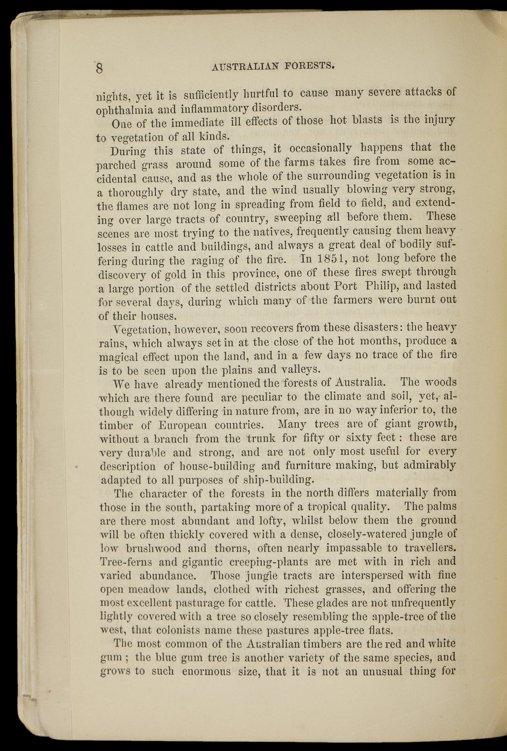 Middle Park — Local Guides, Restaurants and Suburb Data (2026)