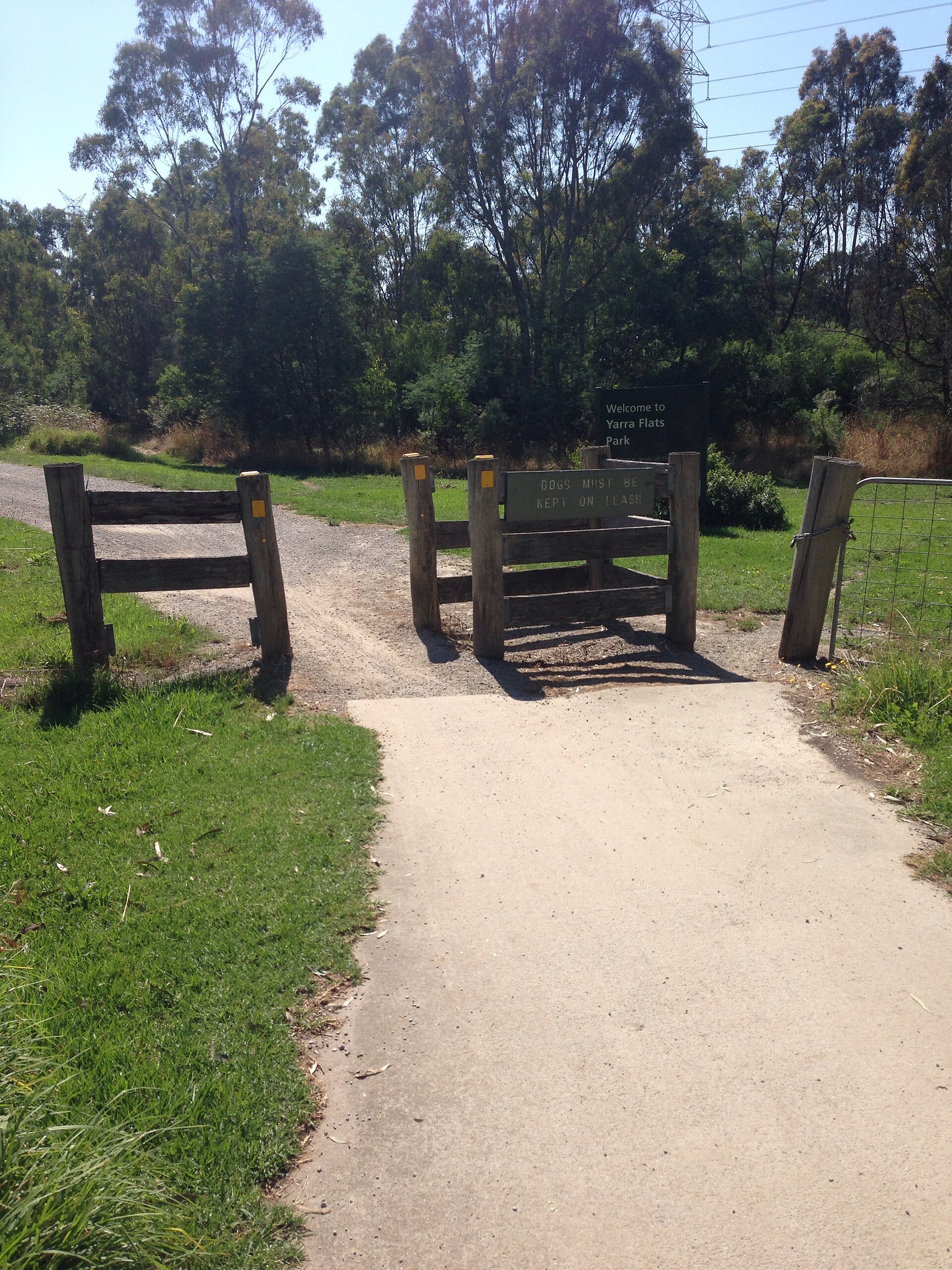 Ivanhoe East Area Guide -- Getting Around, Parks and More (2026)