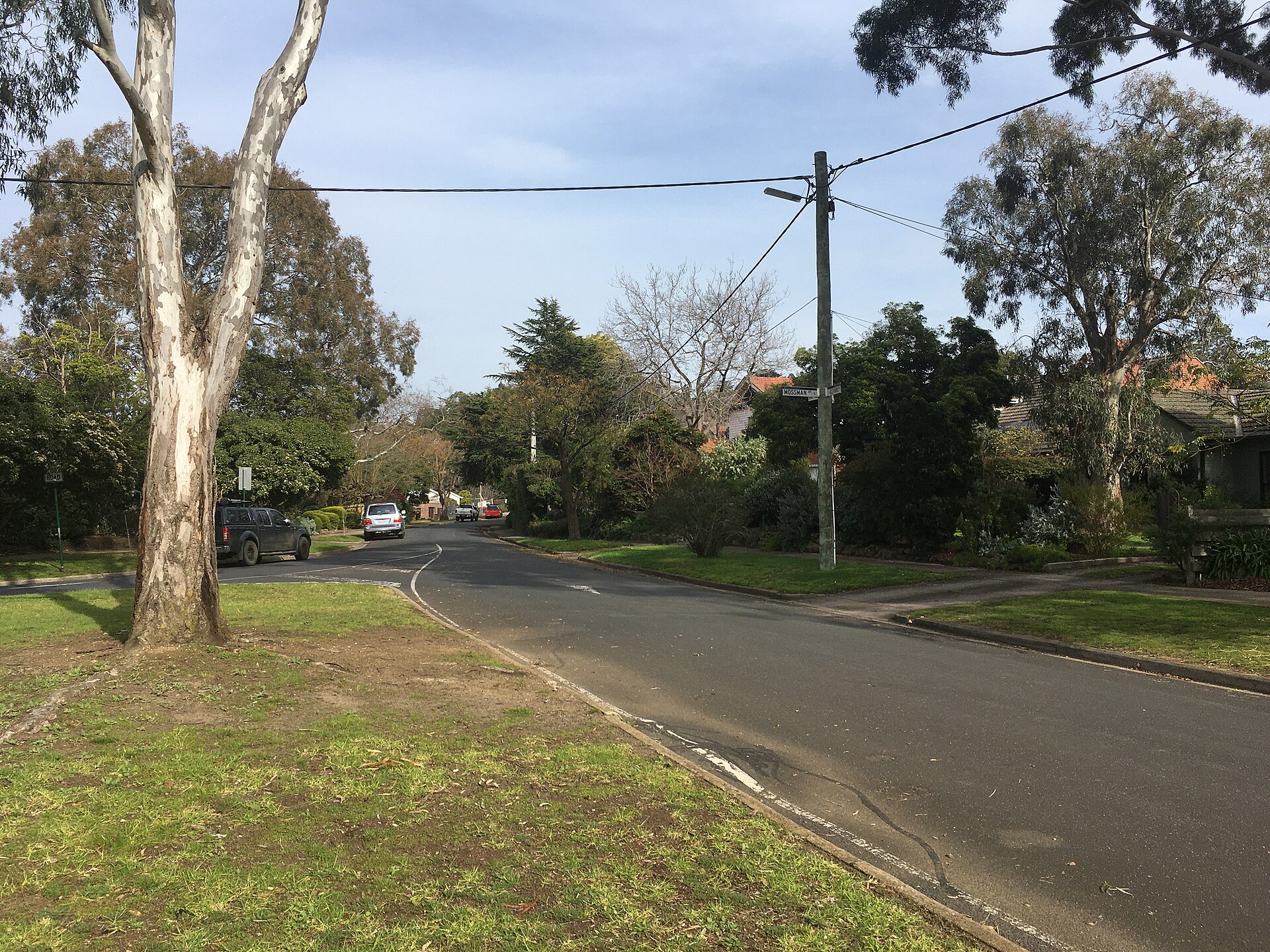 Best Pizza in Ivanhoe East — 2026 Guide