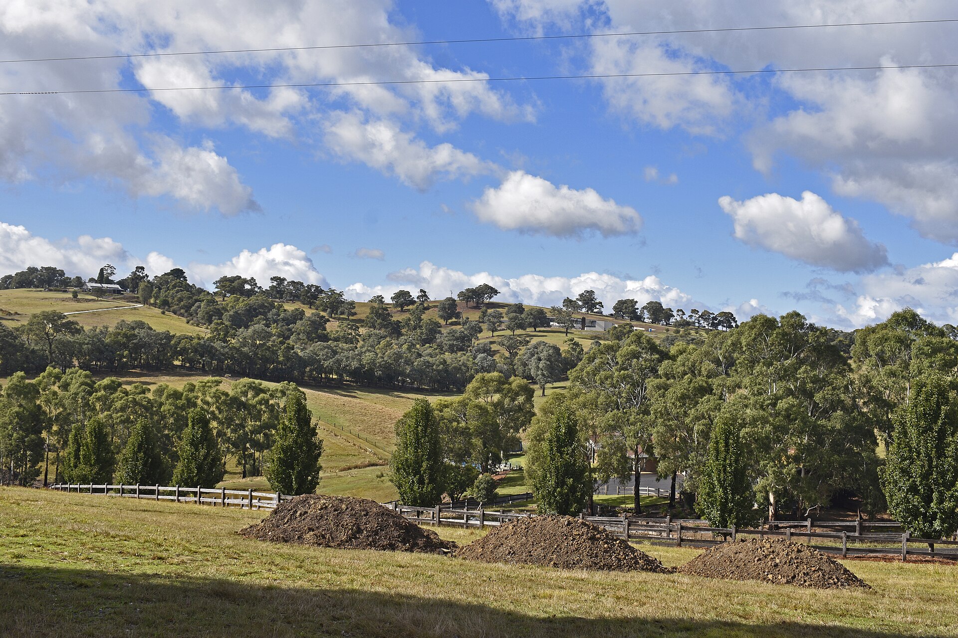Your Guide to Kangaroo Ground (2026) -- Transport, Parks and Local Character