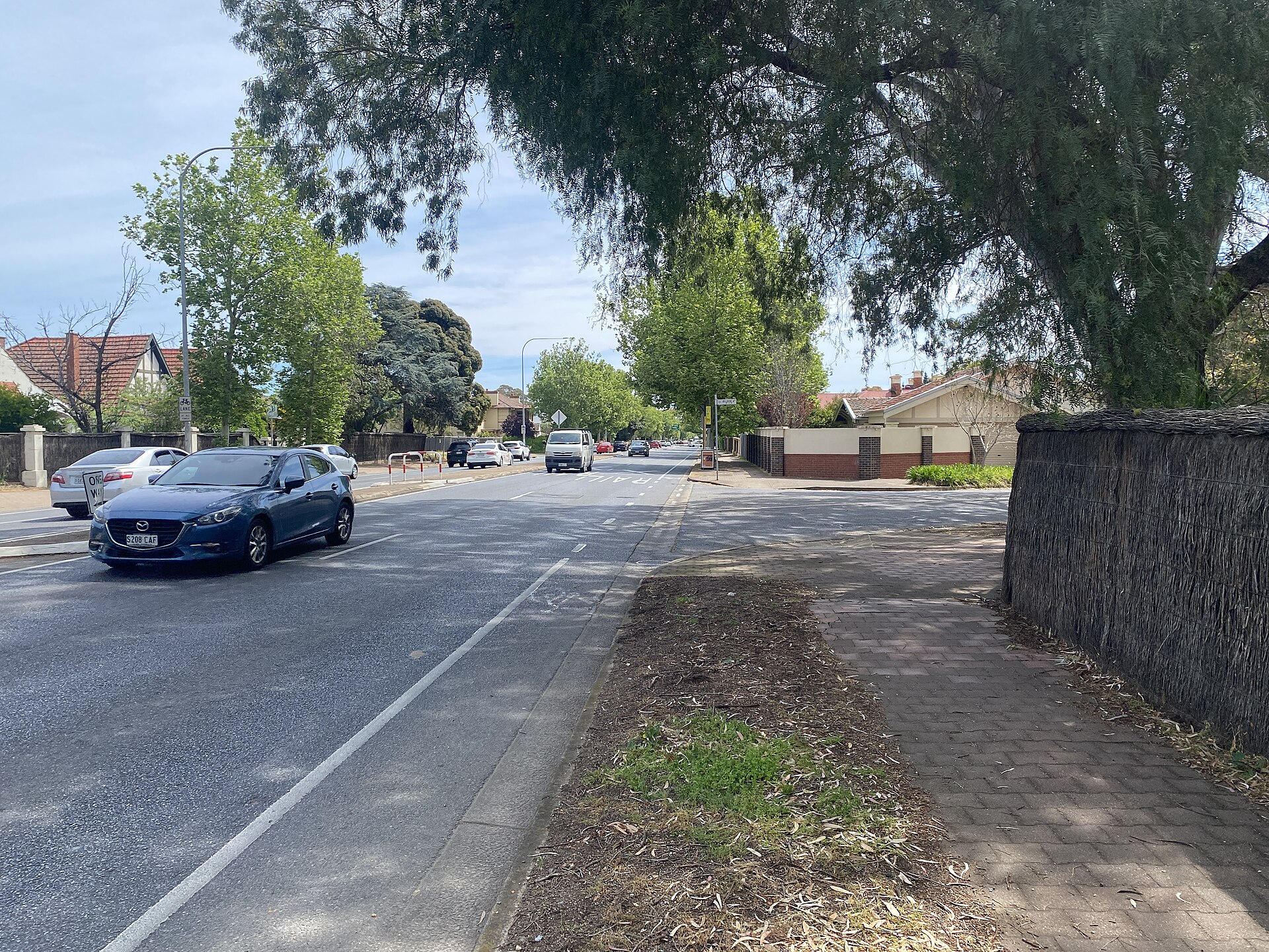 Things to Do in Kings Park (2026) -- Suburb Guide