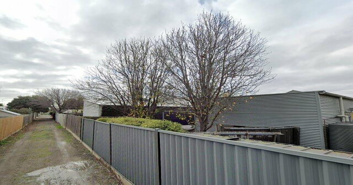 Kingsville Community Guide