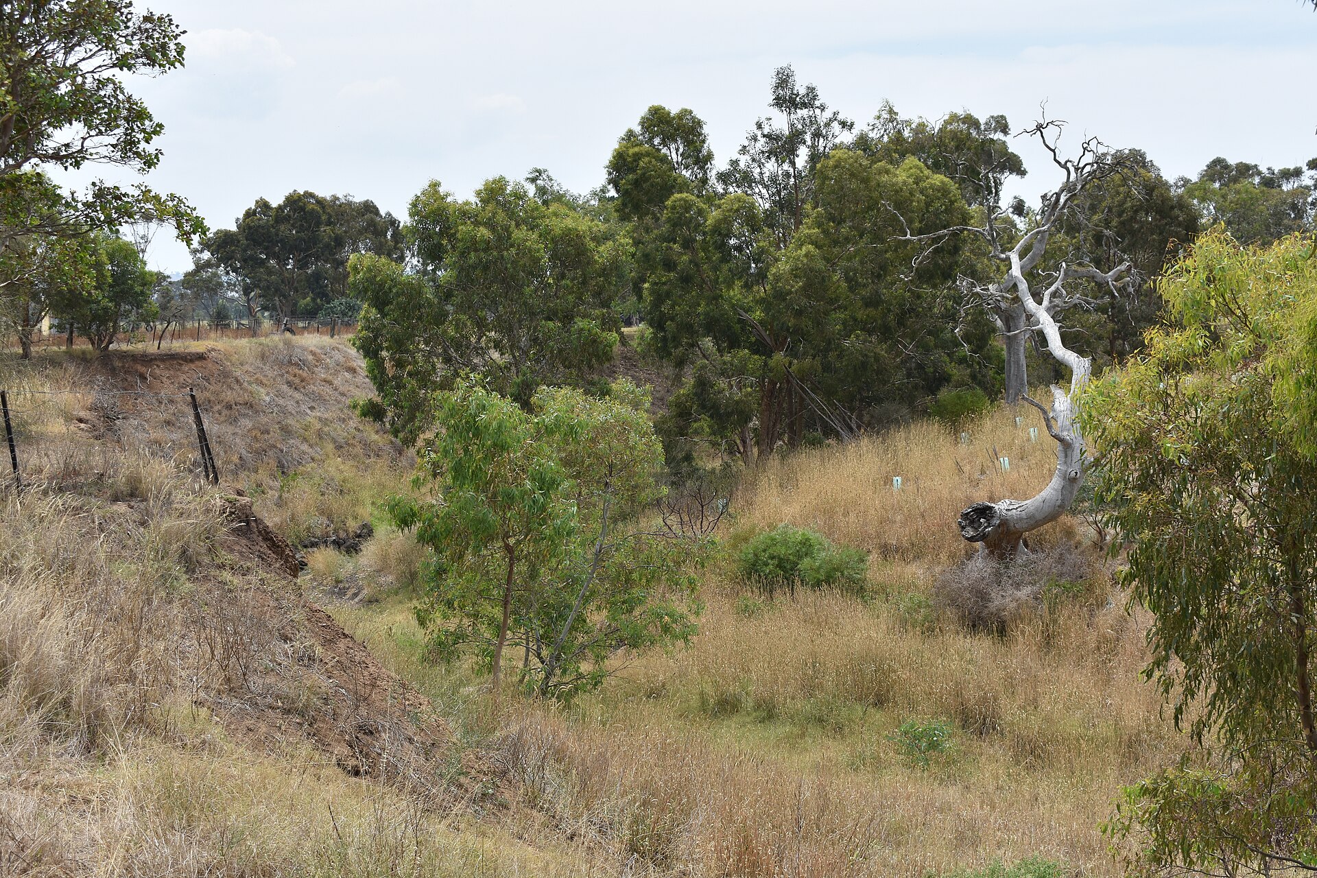 Things to Do in Kurunjang (2026) -- Suburb Guide