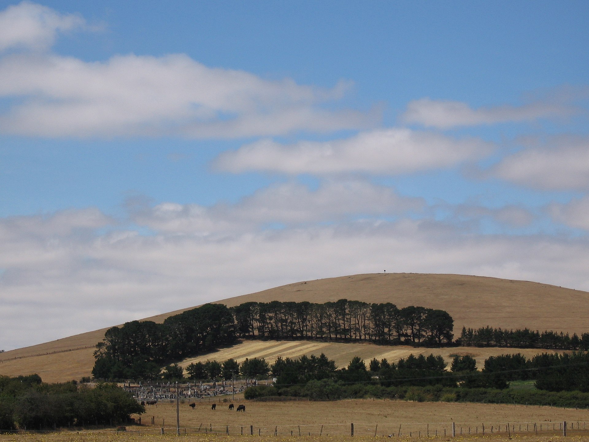 Lancefield Remote Work Guide 2026: Coworking, Cafes and Libraries