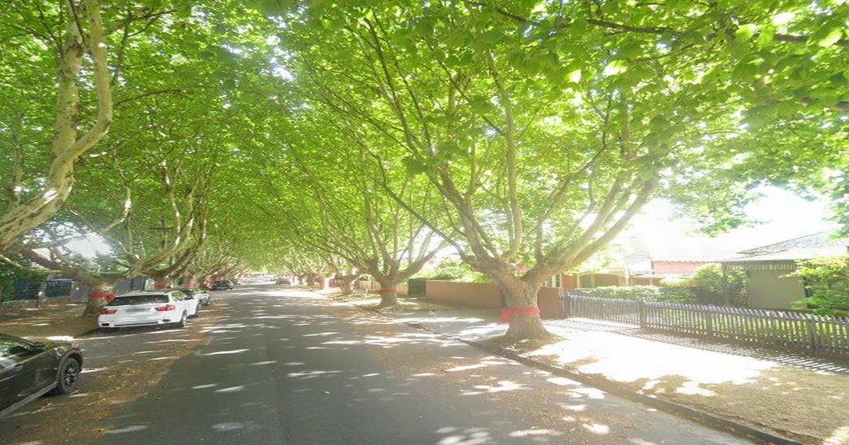 Best Breakfast in Malvern East