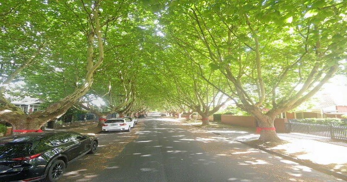 Best Italian Restaurants in Malvern East