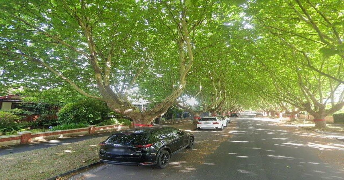 Best Japanese Restaurants in Malvern East