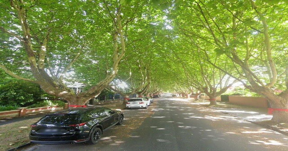 Best Thai Food in Malvern East