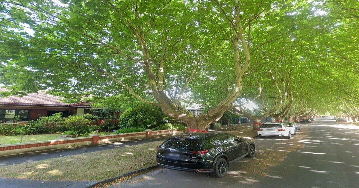 Libraries Near Malvern East