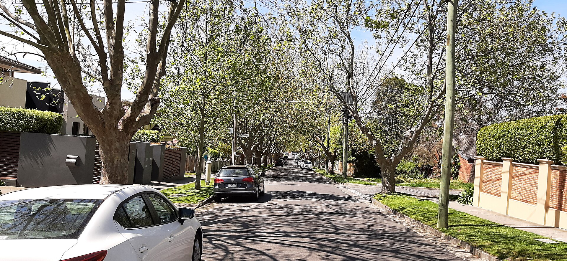 Malvern East Area Guide -- Getting Around, Parks and More (2026)