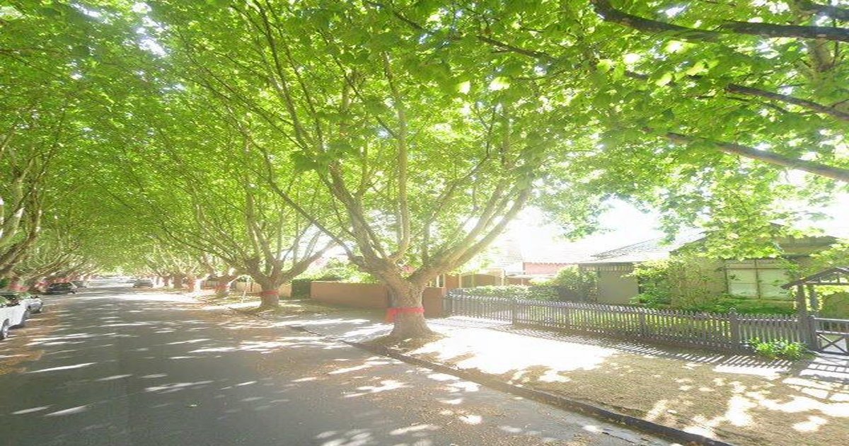 Moving to Malvern East — Relocation Guide 2026